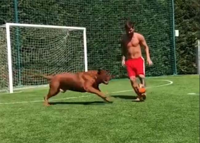 Lionel Messi Berlatih Dengan Anjing Kesayangannya